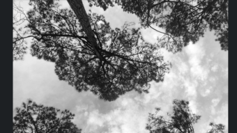 Raw, Random & Real: Black & White Glimpses of My World