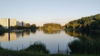 Beautiful Friday, although he did not promise such - My Actifit Report Card: JULY 4 2025