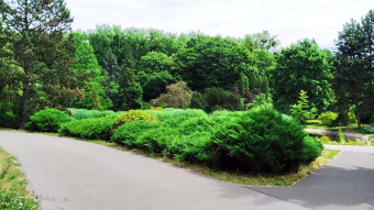 A pleasant Saturday, with a few showers - My Actifit Report Card: July 12, 2025