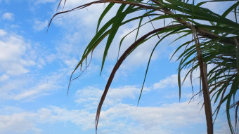 Beautiful Nature