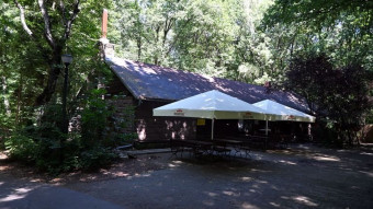 Tuesday walk near the "Leśniczówka" in the Silesian Park - My Actifit Report Card: August 12, 2025
