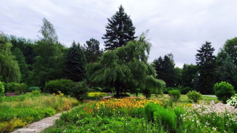 The weather was great, so the walk on Friday was a success - My Actifit Report Card: July 11, 2025