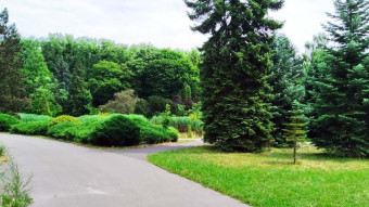 A moderately warm day, pleasant and not tiring - My Actifit Report Card: July 16, 2025