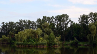 Stormy, rainy Thursday, and not very warm - My Actifit Report Card: July 17, 2025