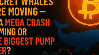 Bitcoin’s Final Countdown? Secret Whales Are Moving — Is a Mega Crash Coming or the Biggest Pump Ever?