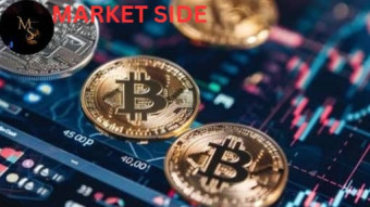 A Complete Review  On  Crypto Market Behavior