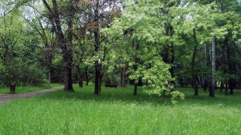 Warm, green and beautiful