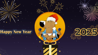 Only 20 hours left for phase 1 withdrwals on ChillGuy X-Mas.