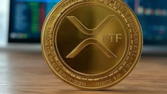 Interest in XRP ETFs Soars To All-time High