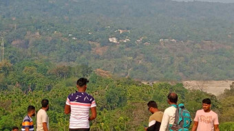 Standing at the edge of a lush green valley