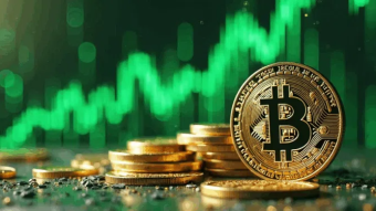 Institutional Investors and Whales Anticipate a Bitcoin Rebound