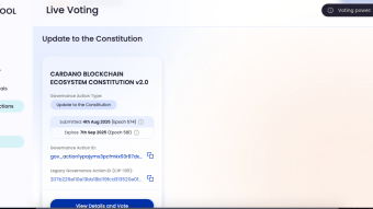 Cardano Decentralised Deputy Diary. Text 5