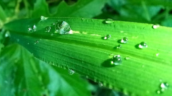 WATER DROPS Photography