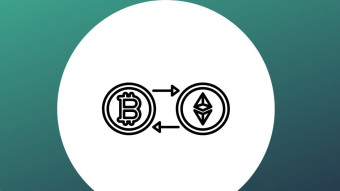 Is maximalism healthy for cryptocurrency and blockchain adoption?
