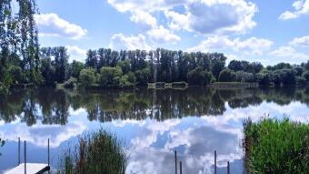 Beautiful Saturday, perfect temperature - My Actifit Report Card: June 6, 2026