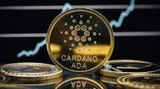 It's official, Cardano is dead.
