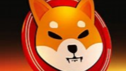 Shiba Inu Momentum