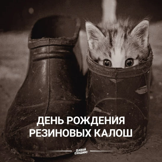 2e7ccae91d441d4255f191f26d954343e520d5e7a7e4b2d159823caaf112286d.jpg