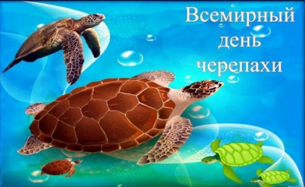 a6b7f9b9cc1d7897d614c307abf315cf7ad6f85294629aa64fa99fdaa75d0293.png