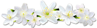 b2cca6e6dbd63a57aa7c7032c934de723bcb0d5607679eb419171c2bf1fca3a0.png
