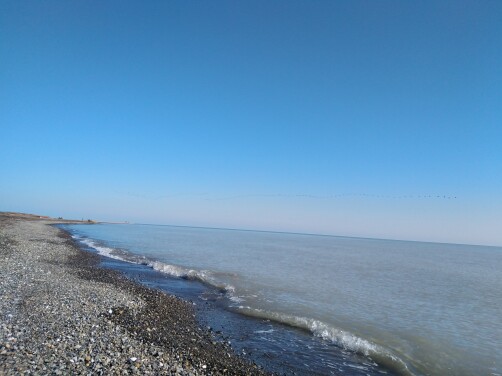 The Story of Cycling | As Migratory Birds Fly Over The Endless azure