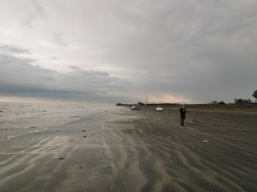 Yes! the mysterious footprints belonged to a sleepy turtle that wanted to reach the waves of the sea.