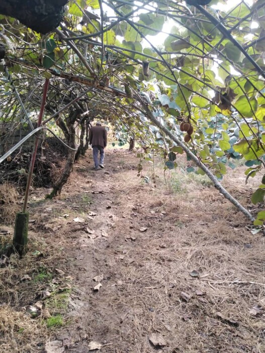 Photography of  Nature, garden, Real Life story