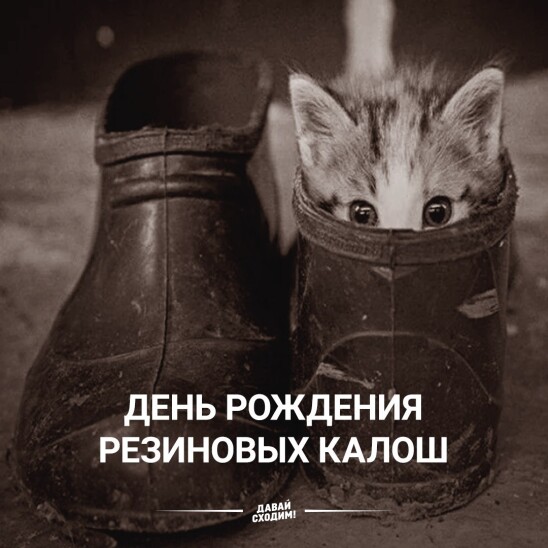 2e7ccae91d441d4255f191f26d954343e520d5e7a7e4b2d159823caaf112286d.jpg