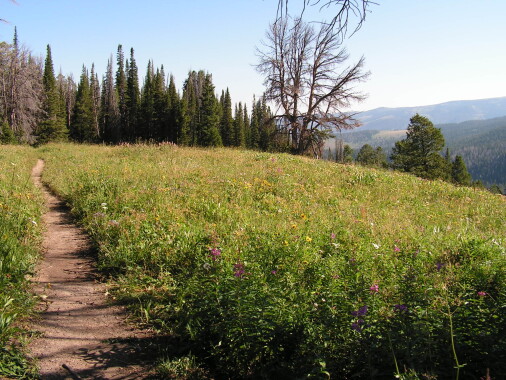 mountain trail
