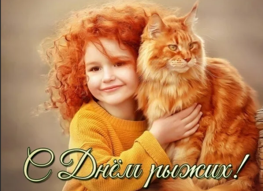 5f107b0d1fe9cf256b3f78c0b65ba213d2e60b8aead2777dbbe1af983f1cdc08.png