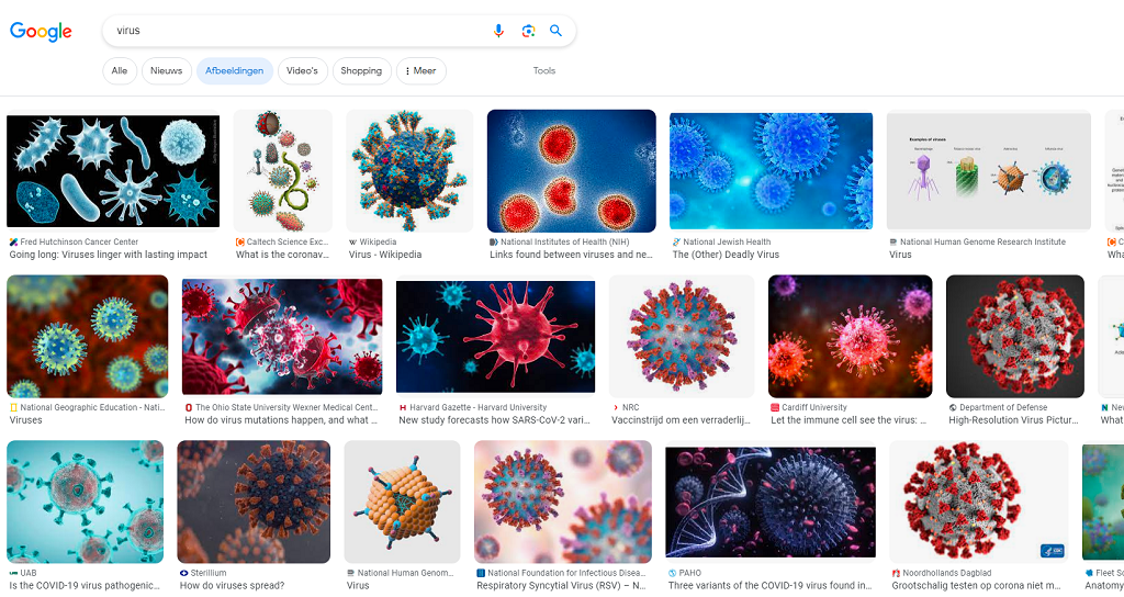 Google Virus