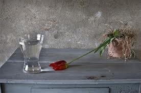 glass of water and dying rose