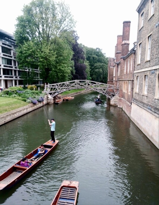 The Magical Cambridge