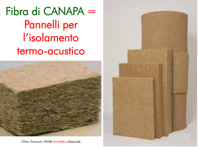 Hemp