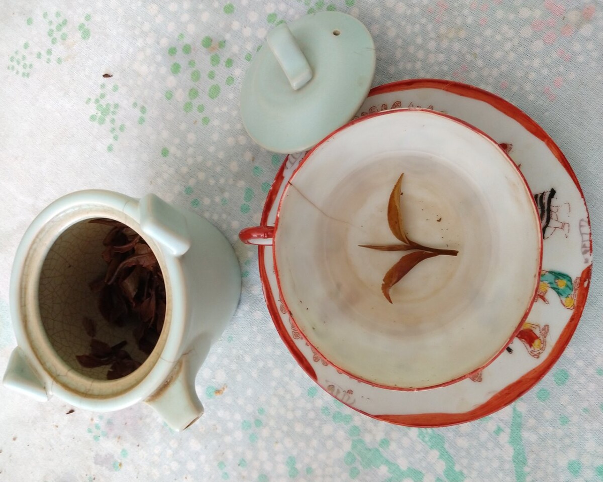 Tea leaves in a cup