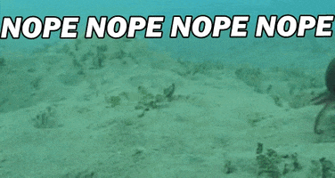 a7ff02985c157e88f7ee14dab61ff44f3e4434f9b7d056661a88e465c677dea4.gif