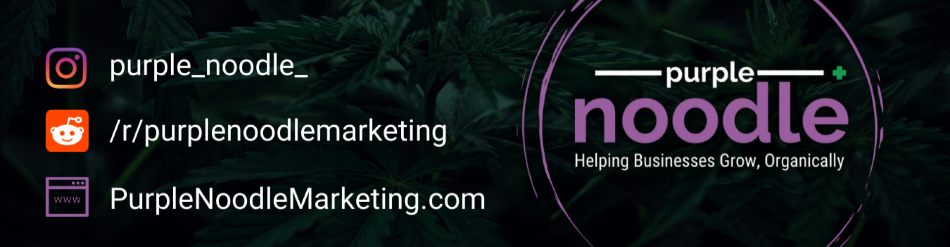 Purple Noodle Marketing - Cannabis Biz Marketing