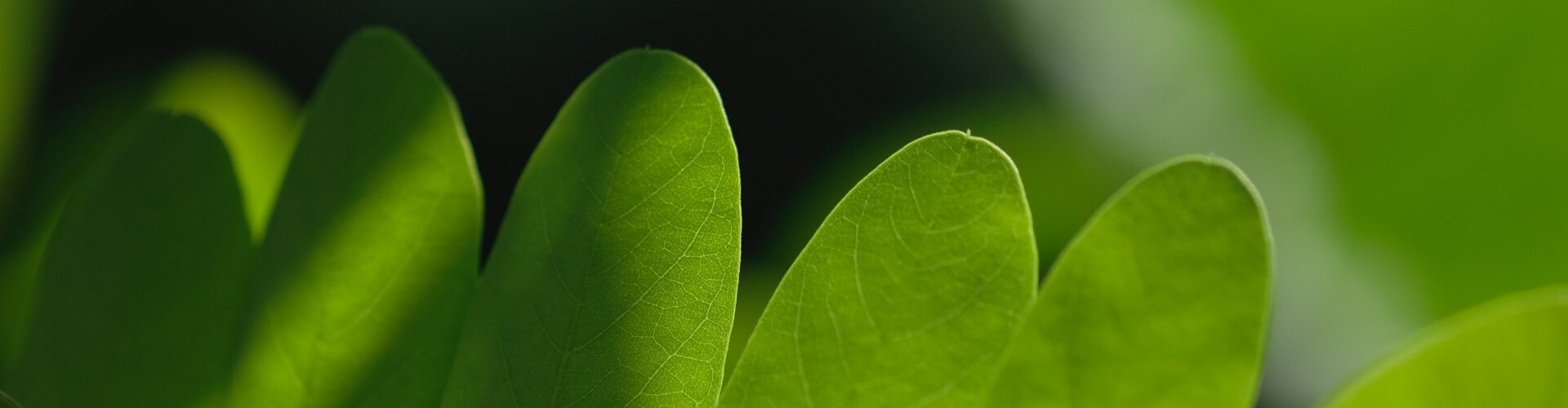 Nature and Life