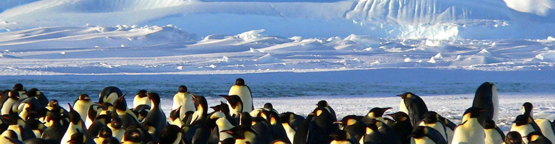 Antarctica Conspiracy