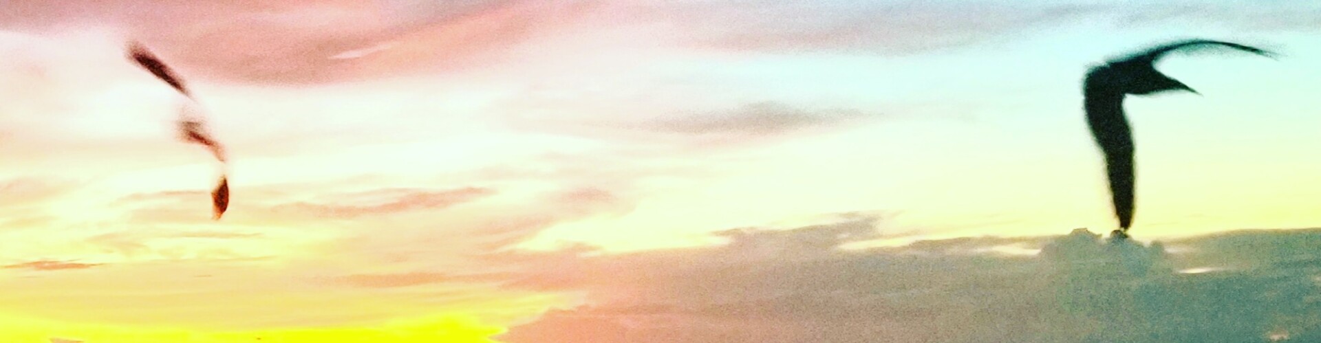 Explorations in Consciousness.