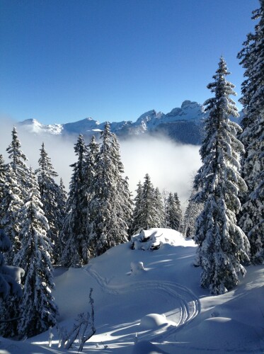 Skiing some fresh tracks