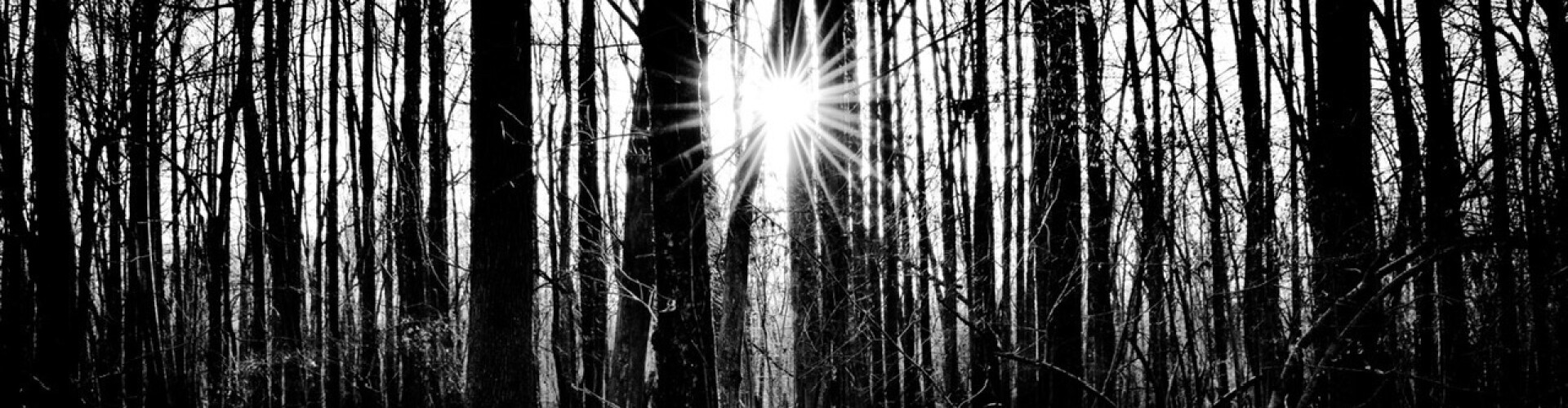 Ebb of the Archon | EotA.online