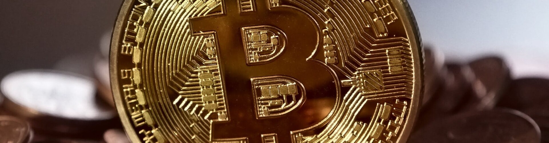 Cryptocurrency Vlogs | Frank @hooked2thechain
