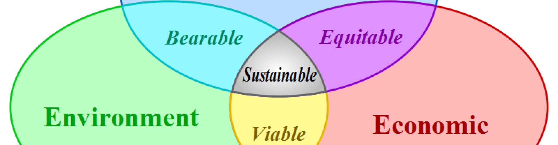 Realistic Approaches to Sustainable Development