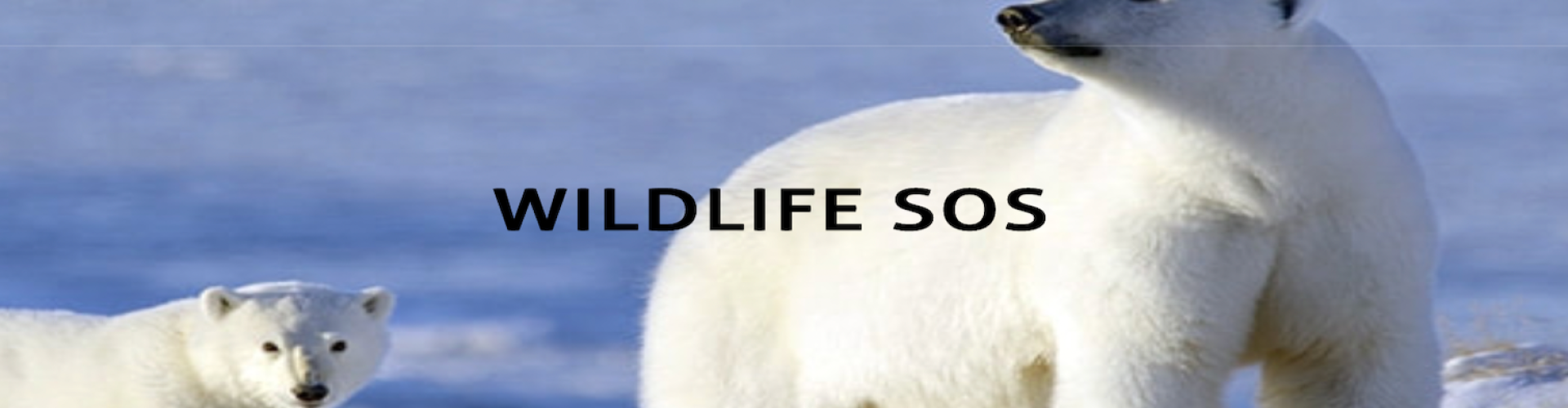 Wildlife SOS