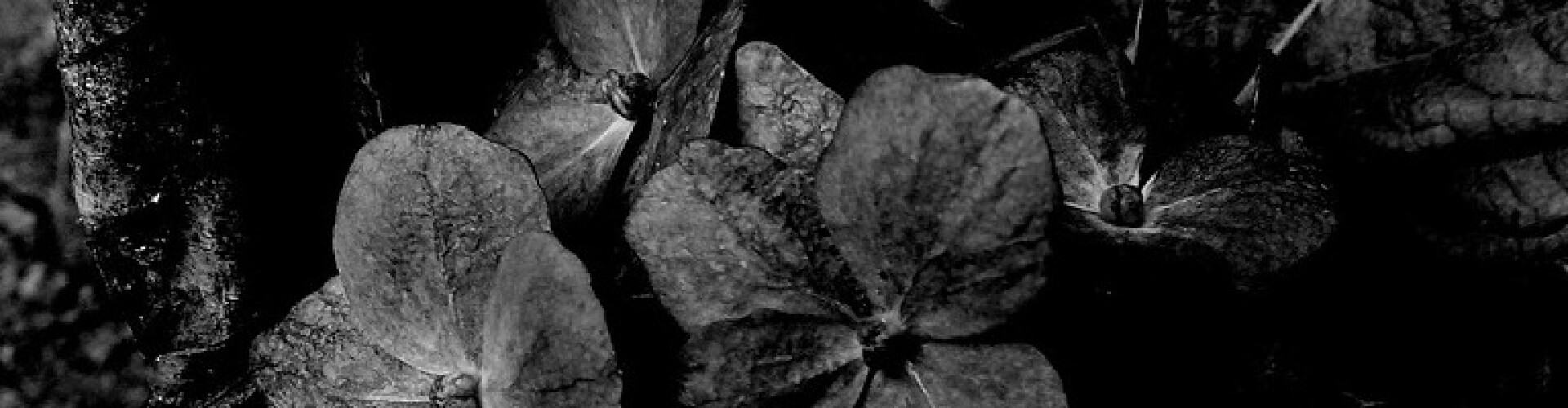 Arrow Whispers Poetry Blog