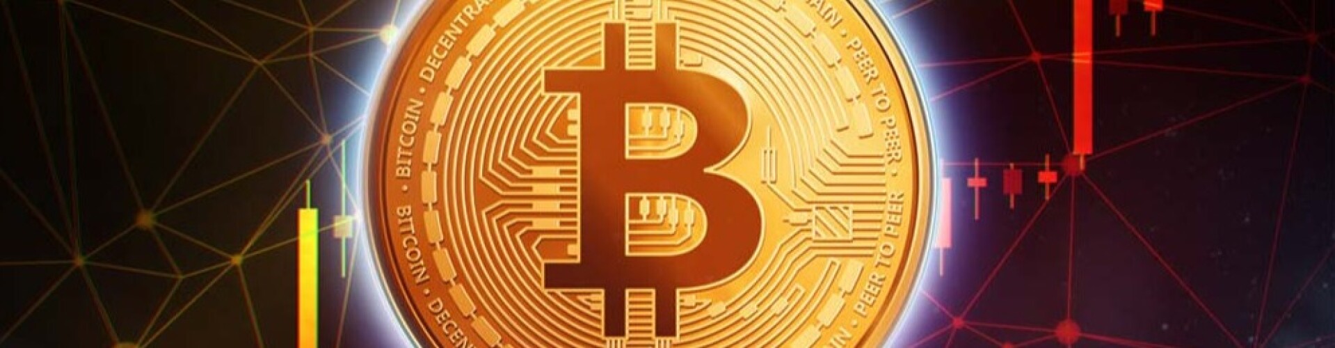 Crypto Sailor
