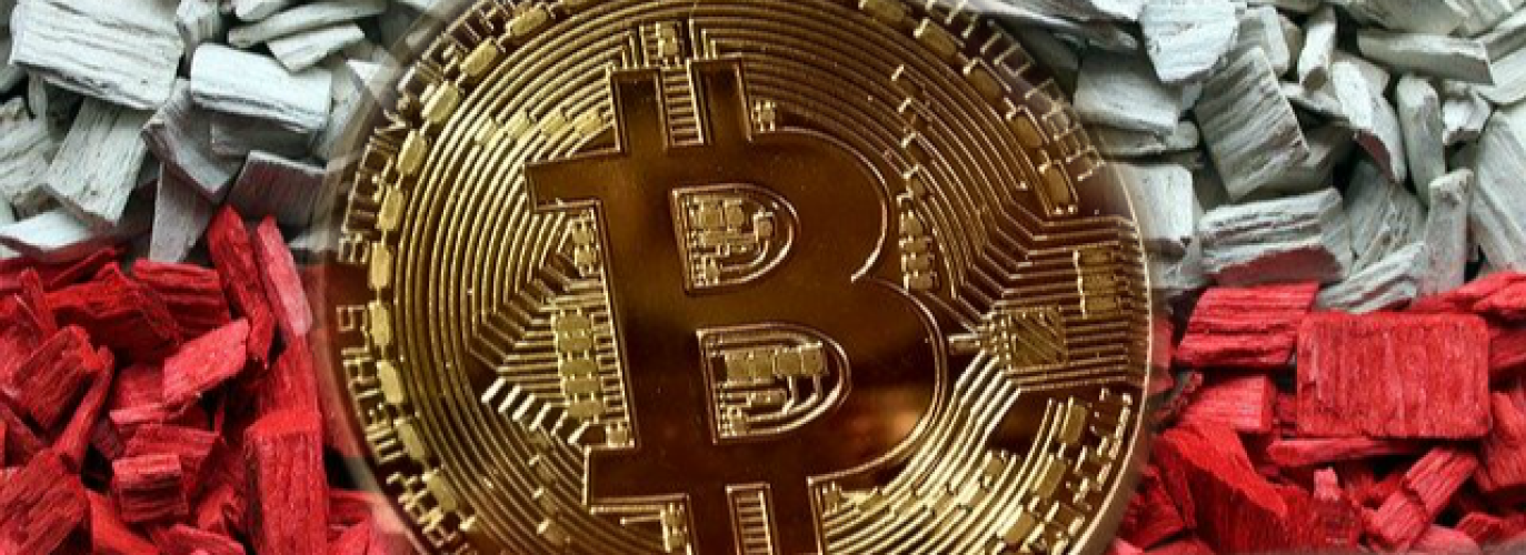 Blog o krypto i nie tylko
