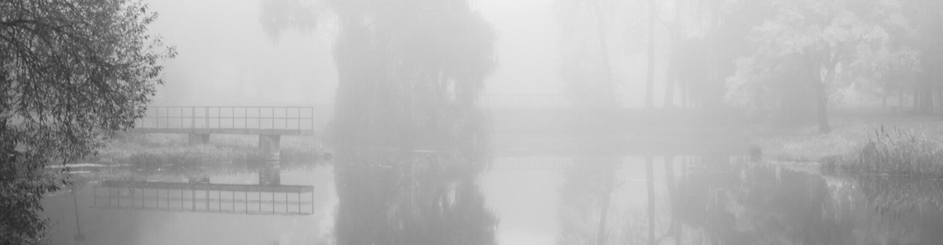 Edvardas Photography