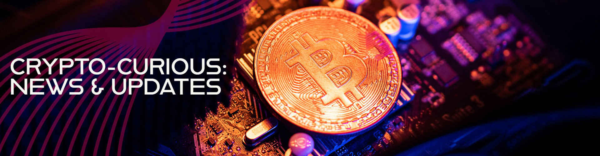 Crypto-Curious Blogger